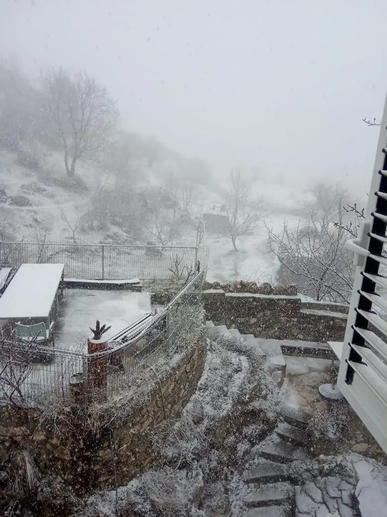 Apartment Villa Tomorrow Ujanik