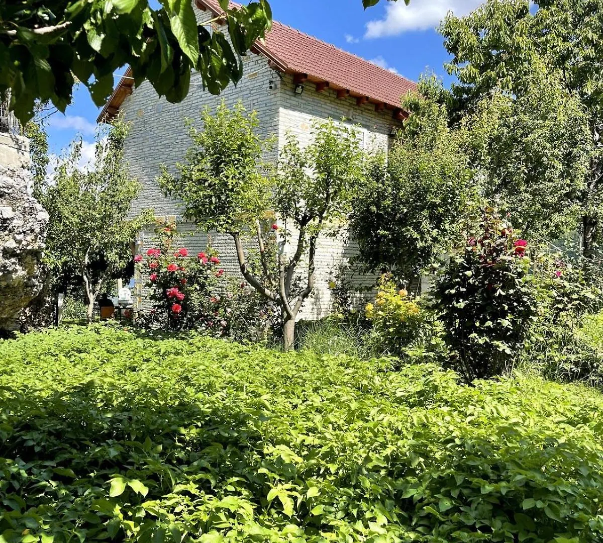 Villa Tomorrow Ujanik Apartment